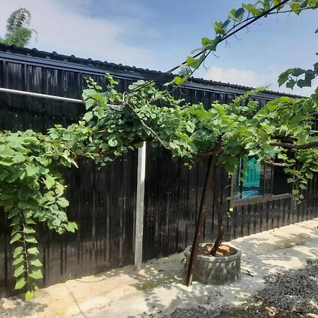 บ้านสวนปวิชญา เกษตรอินทรี فانغ المظهر الخارجي الصورة