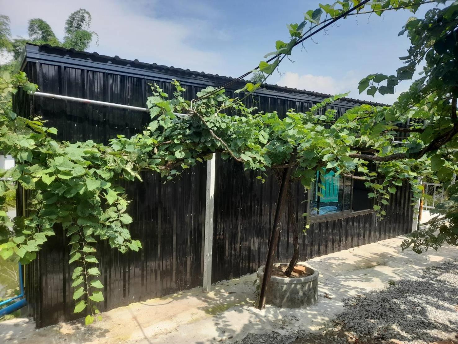 บ้านสวนปวิชญา เกษตรอินทรี فانغ المظهر الخارجي الصورة