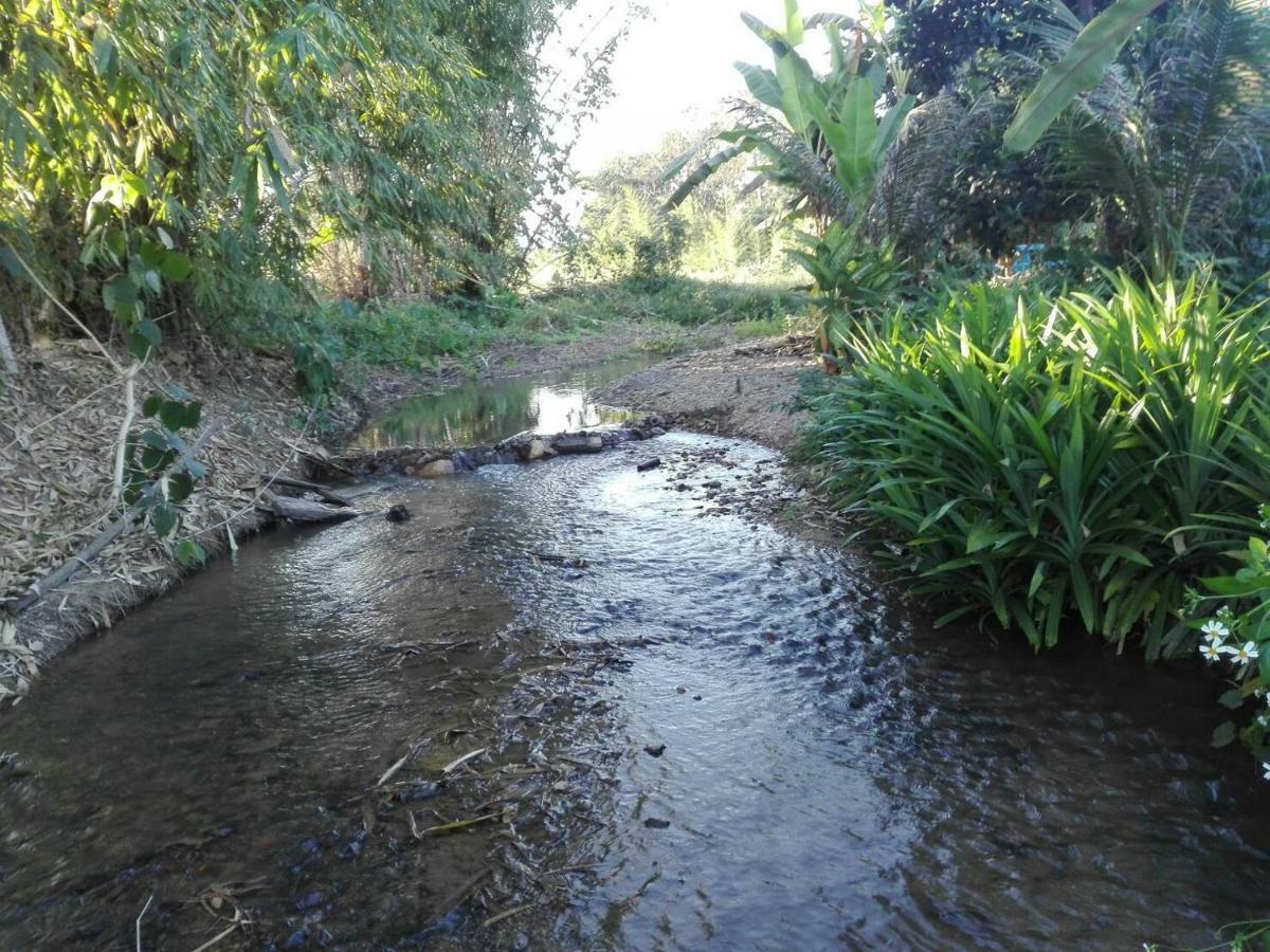 บ้านสวนปวิชญา เกษตรอินทรี فانغ المظهر الخارجي الصورة